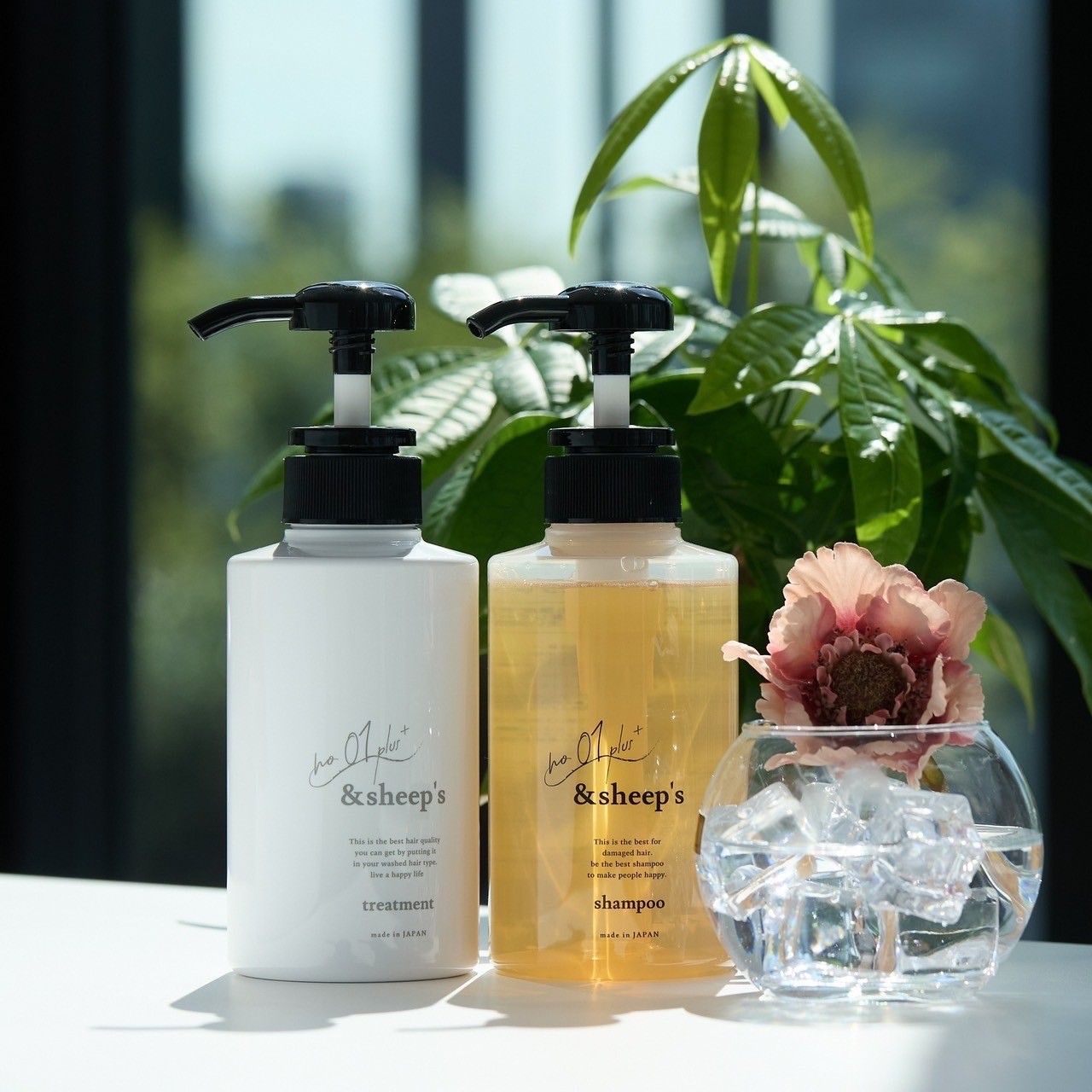 アンドシープス